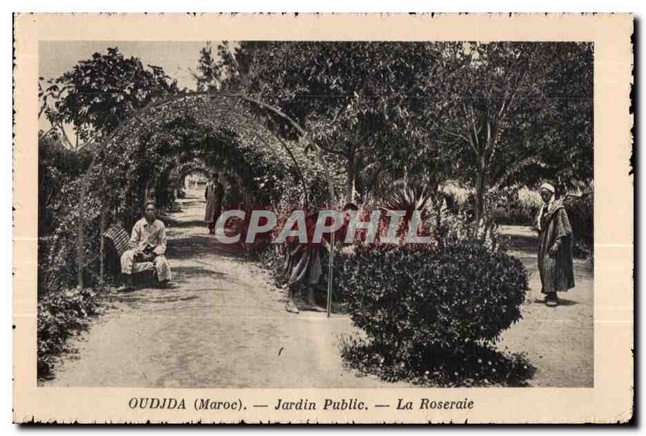 CPA Oudjda Maroc Jardin Public La Roseraie