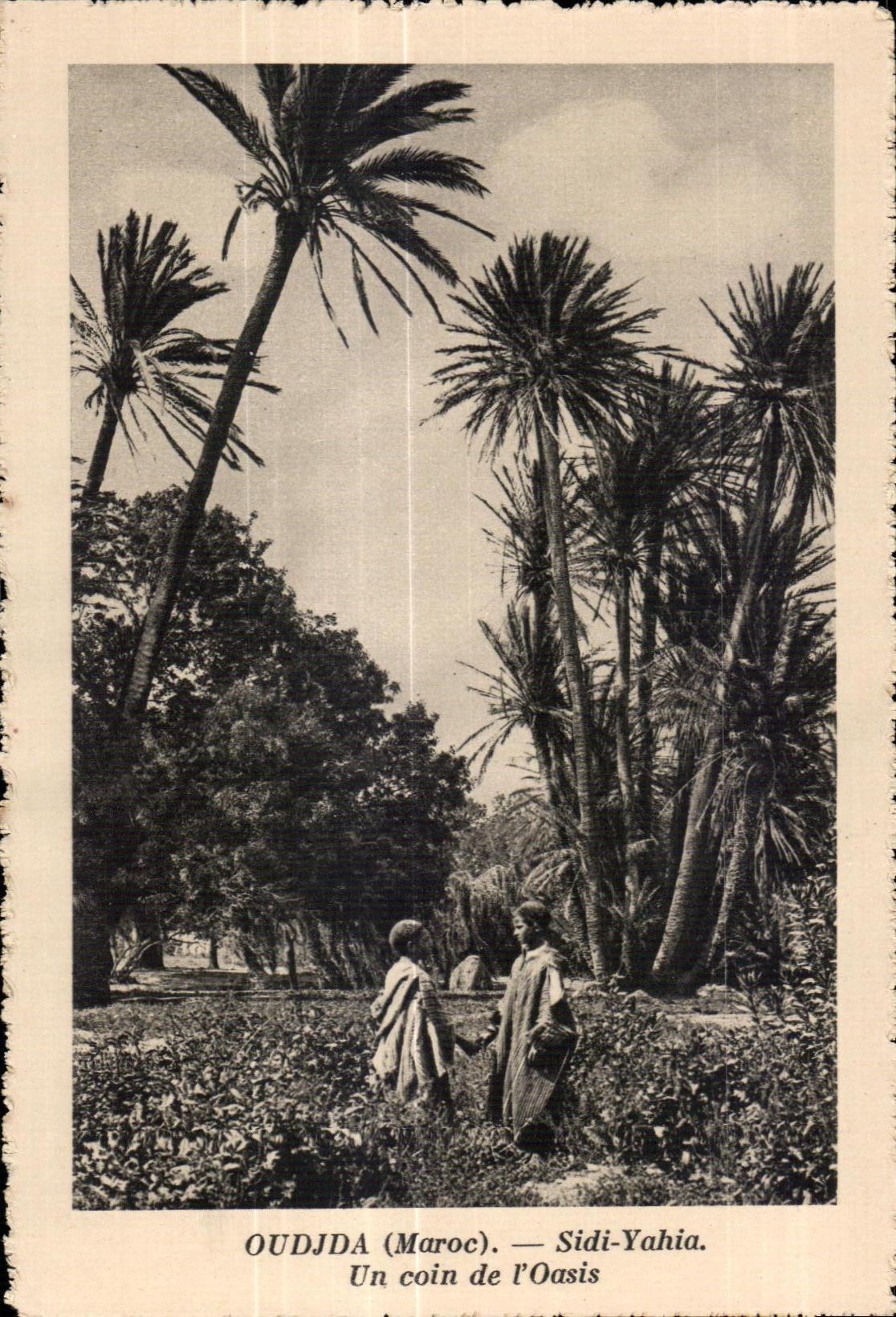 CPA Oudjda Sidi Yahia Un coin de I Oasis