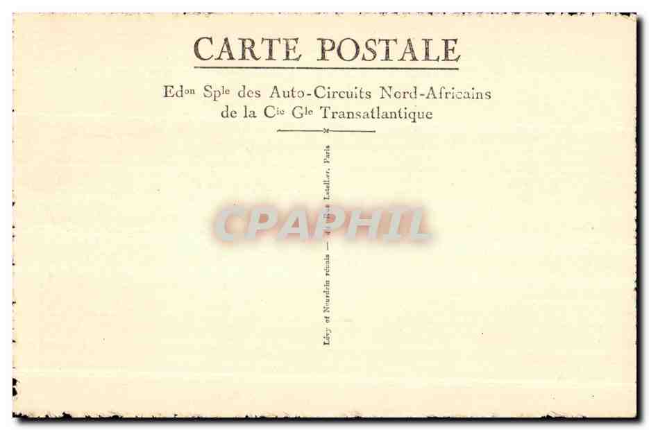 CPA Maroc Marrakech Un coin de la Palmeraie — Rückseite