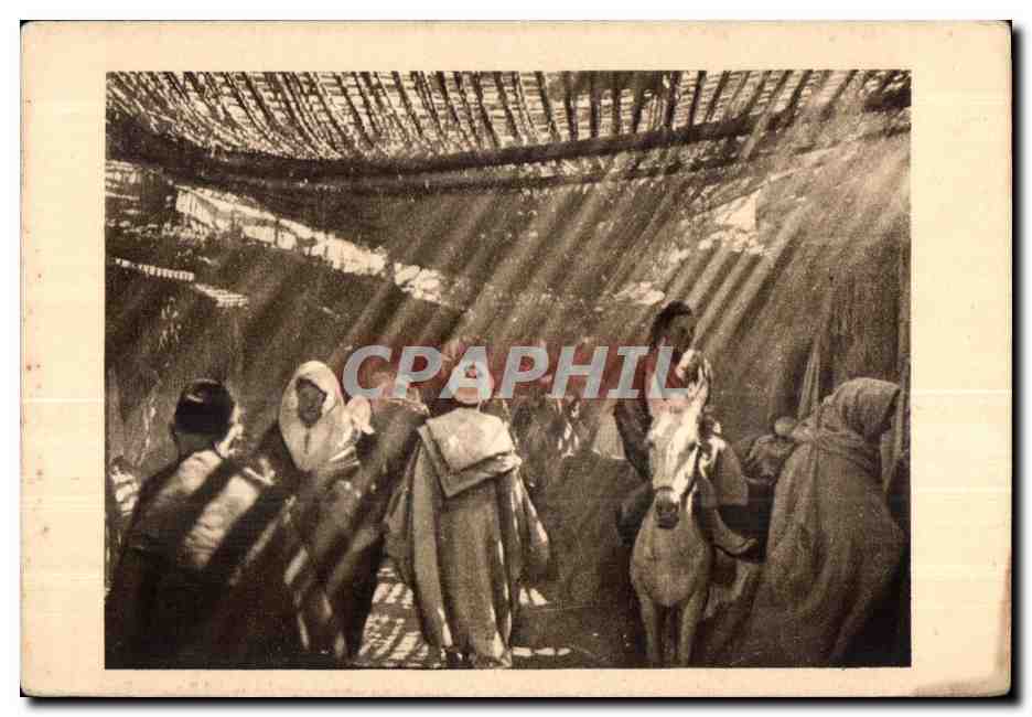 CPA Maroc Maroc Dans Les Souks Ane Donkey