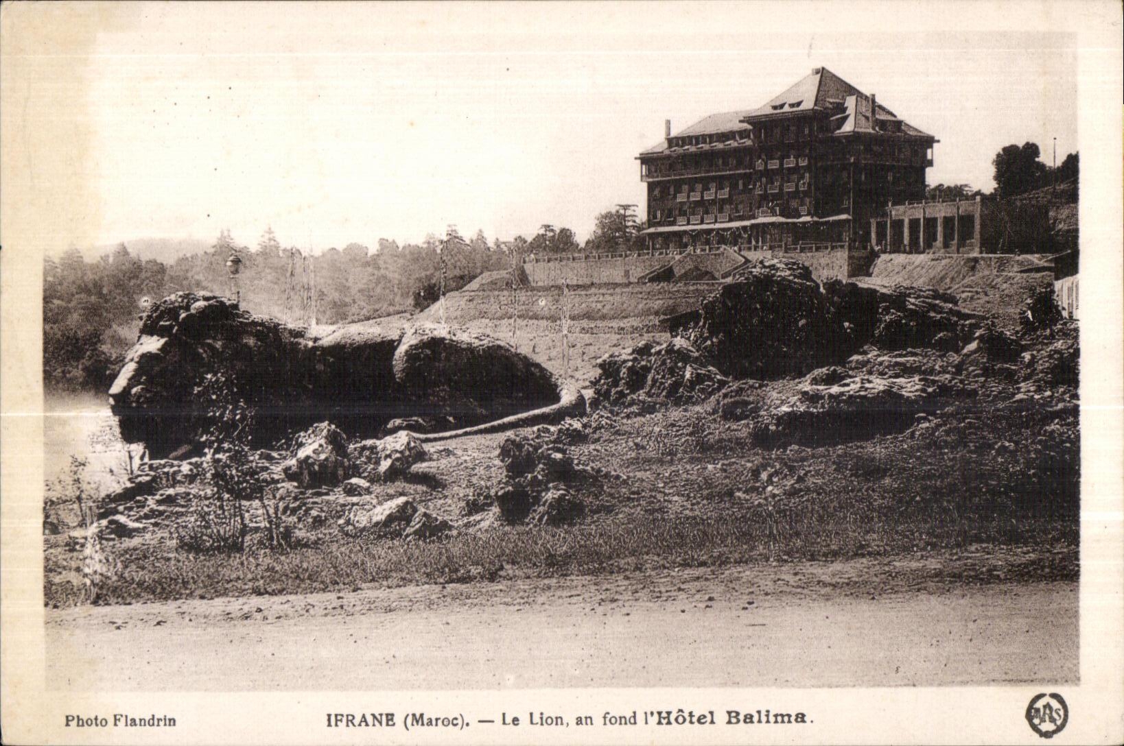 CPA Maroc Ifrane (Maroc) Le Lion Lion an fond I Hotel Balima