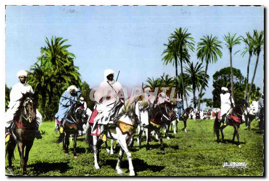 CPA Maroc Scenes Et Types Cavaliers Berberes Cheval Horse