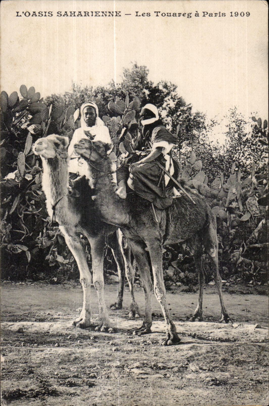 Les Touareg à Paris 1909 — L'Oasis Saharienne