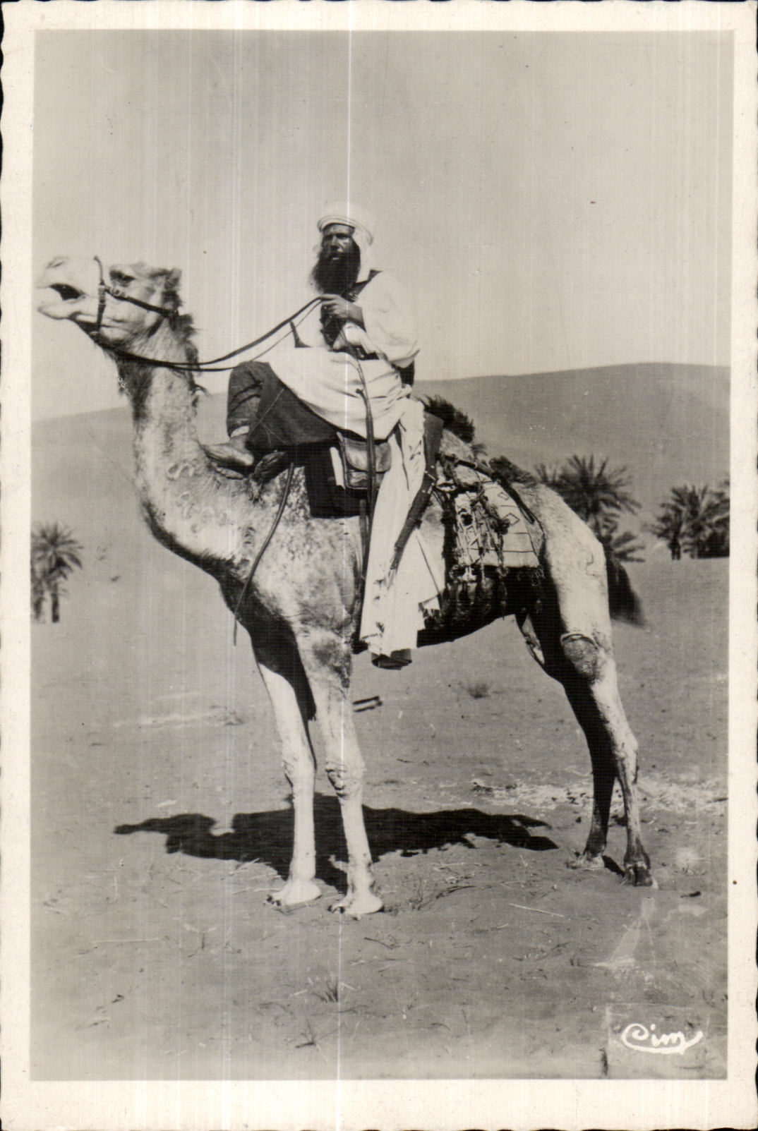 CPA Maroc Scenes Et Types de L Afrique Du Nord (Maroc) Typ Marocain Camel Chameau 