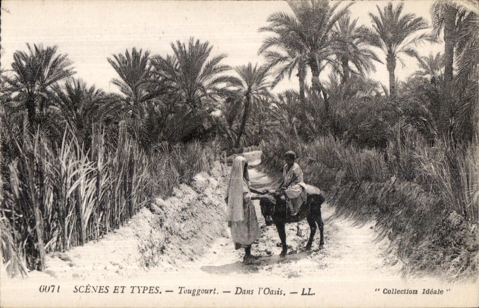 CPA Scenes et Types Touggourt Dans I Oasis Ane Donkey 