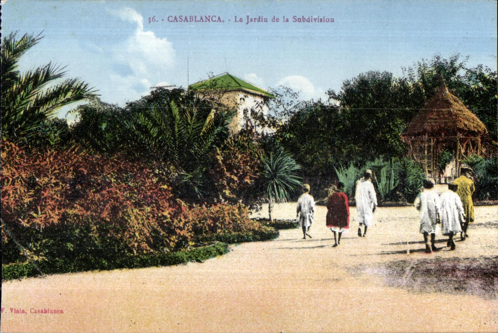 CPA Maroc Casablanca Le Jardin de la Subdivision