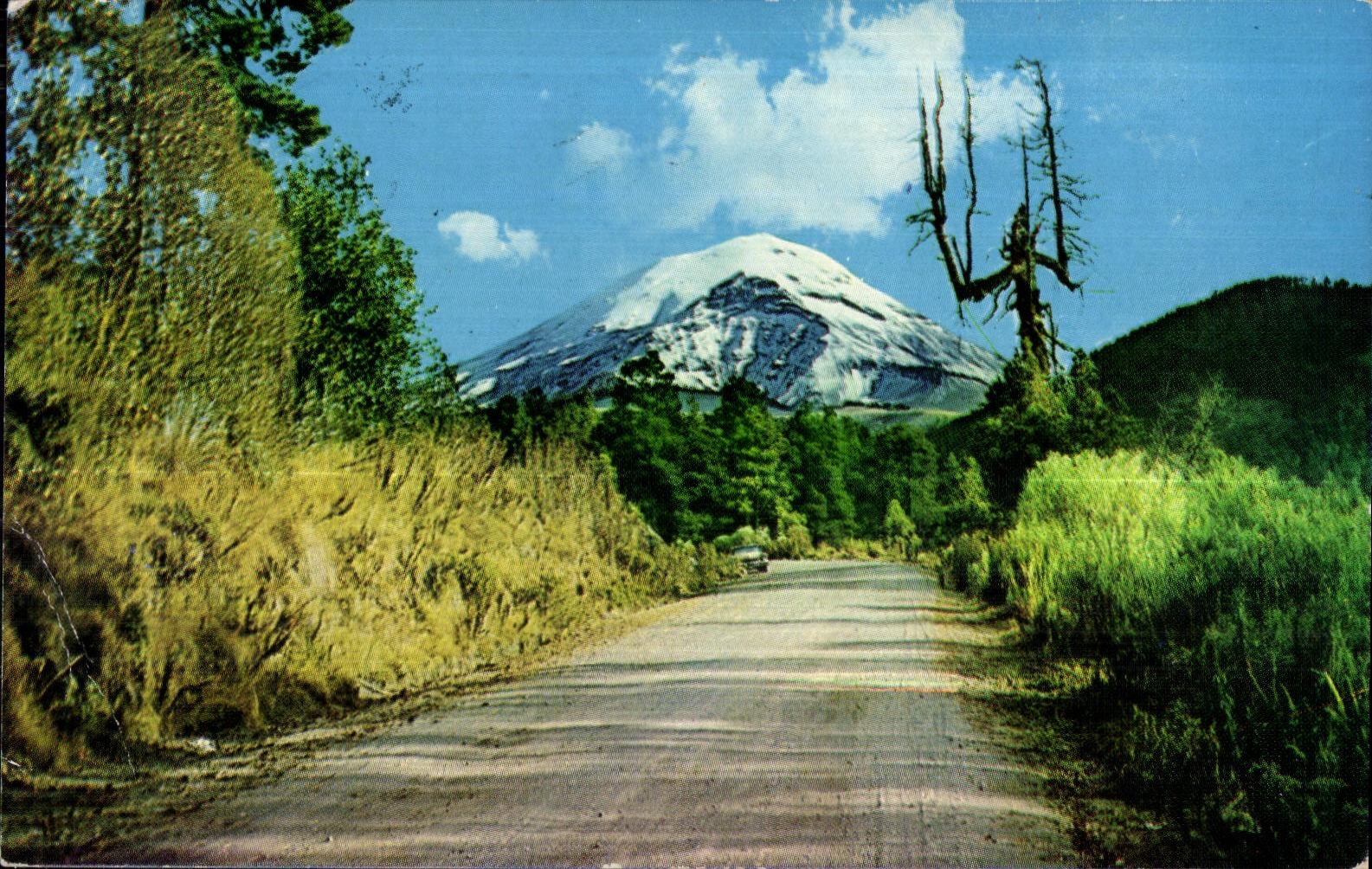 Popocatépetl — volcan et arbre de la sorcière — éditions 'FEMA' n°7190