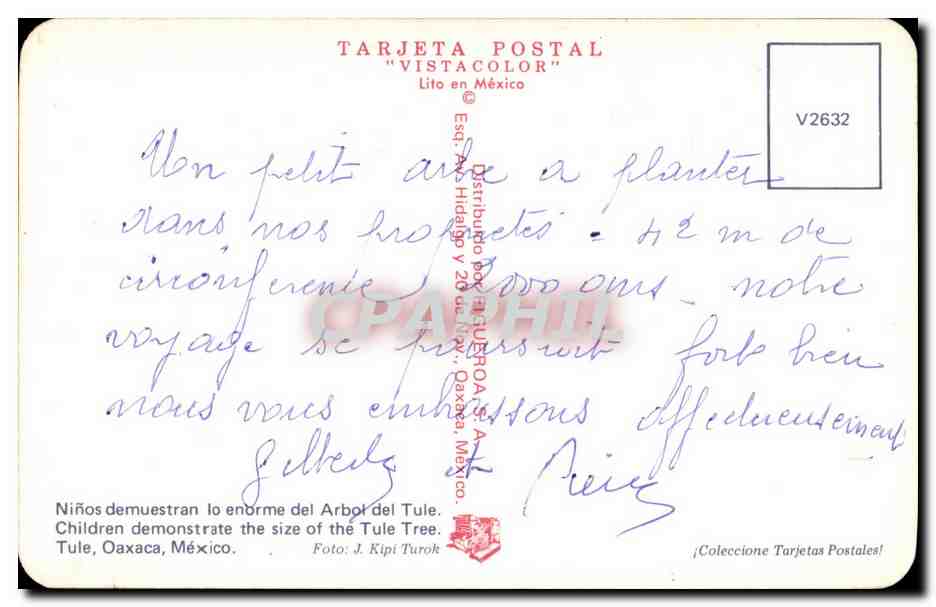 Kinder vor dem Tule-Baum — Oaxaca, Mexiko — 'Vistacolor'-Postkarte Nr. V2632 — Rückseite