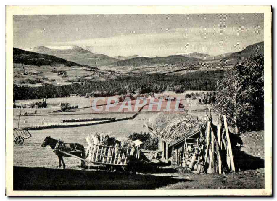 CPA Norvege Norway Norge opdal Horse Cheval