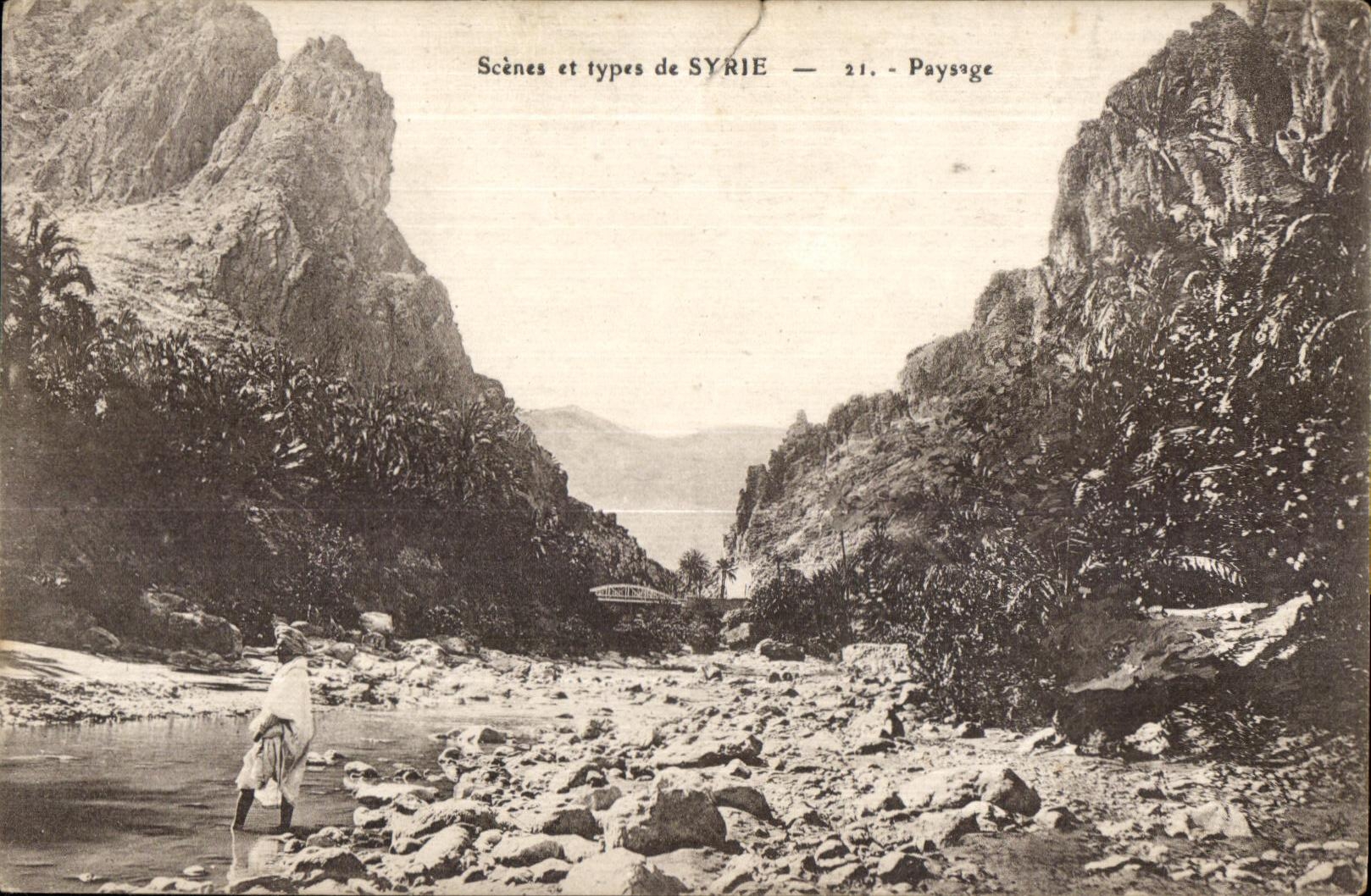 CPA Scenes et Types de Syrie Syria Paysage