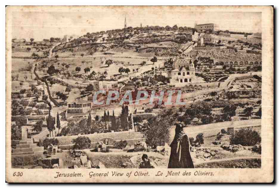 CPA Israel Jerusalem General View of Olivet Le Mont des Oliviers