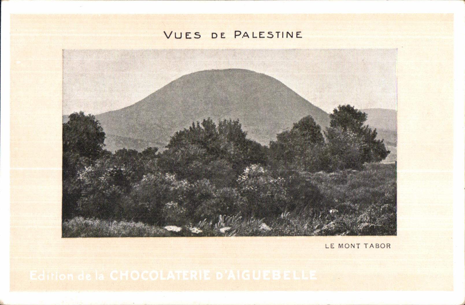 CPA Vues de Palestine Le Mont Tabor
