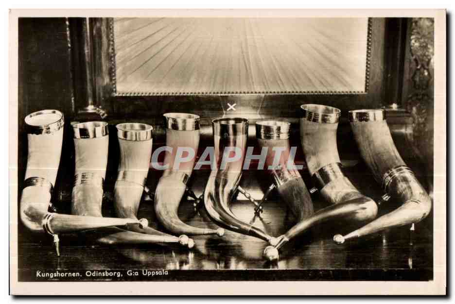 CPA Kungshornen Odinsborg Uppsala Suede Sweden Corne Horn 