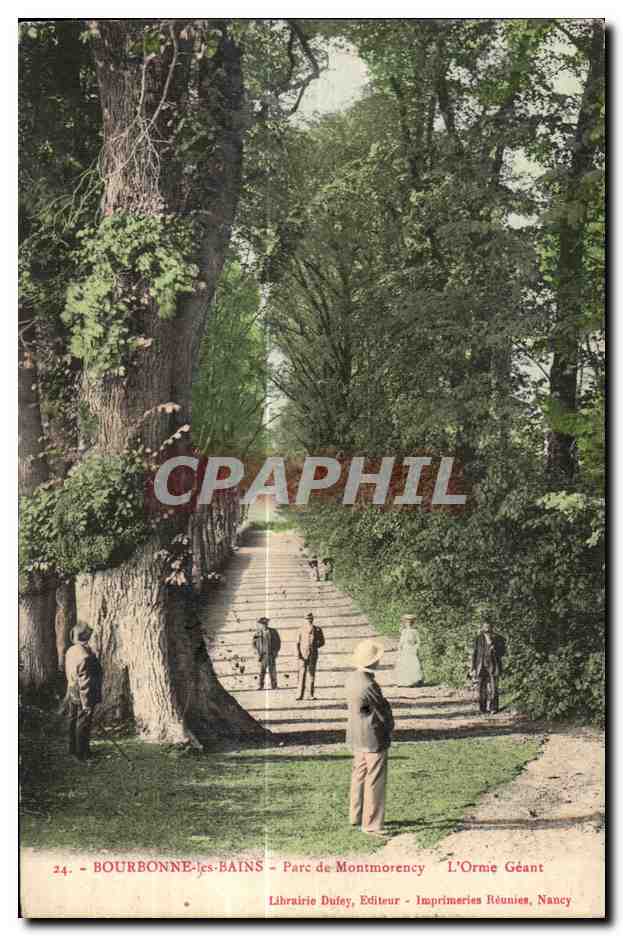 CPA Bourbonne Les Bains Parc de Montmorency L Orme Geant Arbre Tree