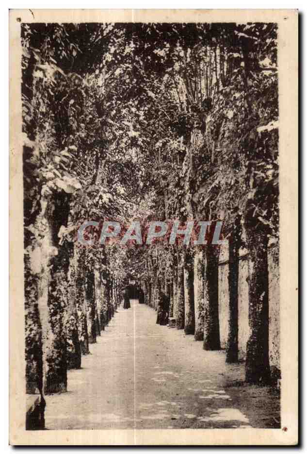 CPA Craon Monastere des Benedictines du Saint Sacrement l Allee des Tilleuls