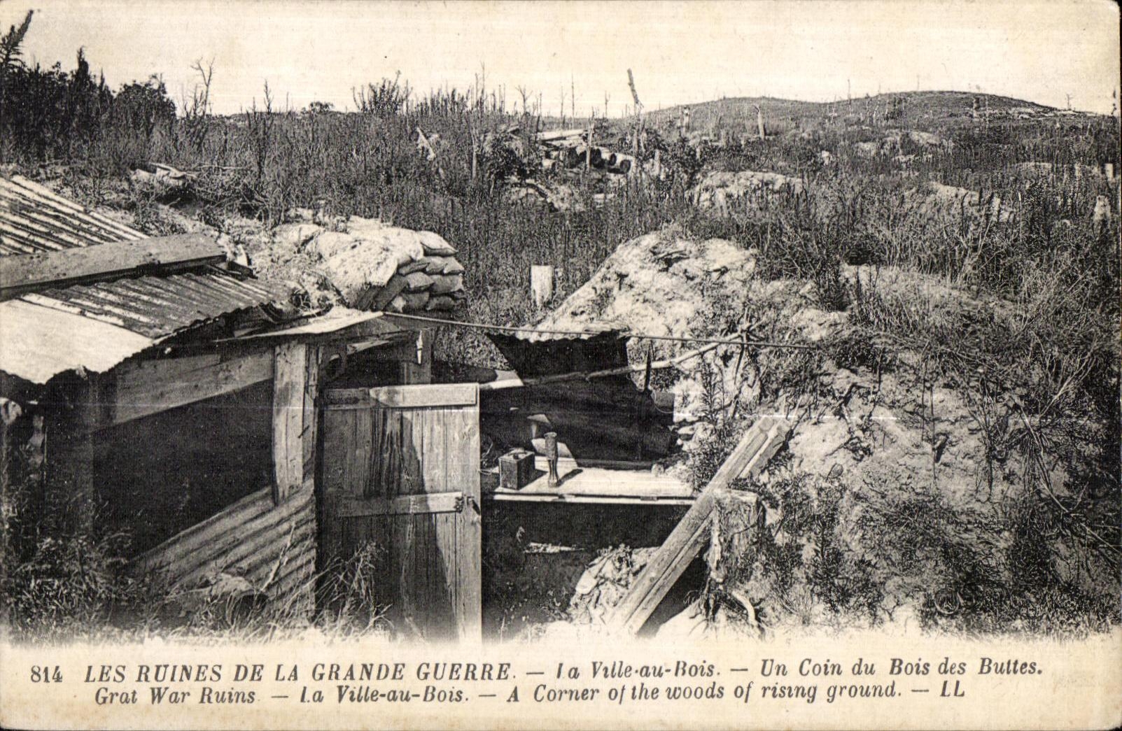 Les Ruines de la Grande Guerre — La Ville-au-Bois — Un Coin du Bois des Buttes — LL
