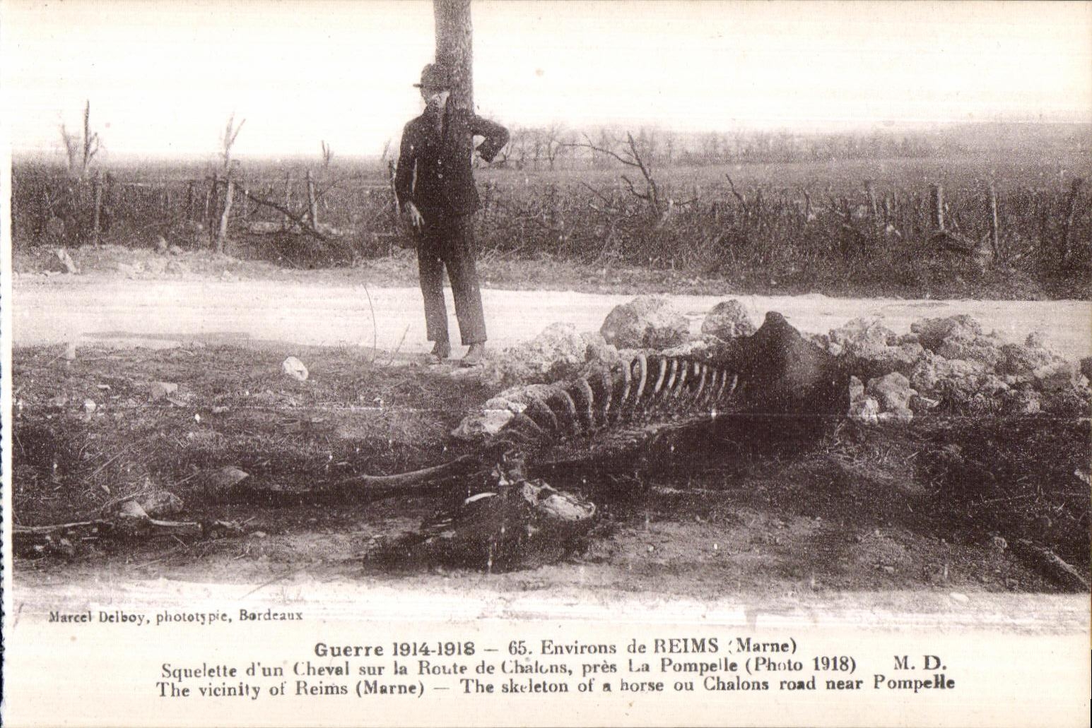 CPA Reims Environs de Reims Squelette d un Chevai sur Route de Chalons pres la Pompelle The Vicinity of Reims Militaria 