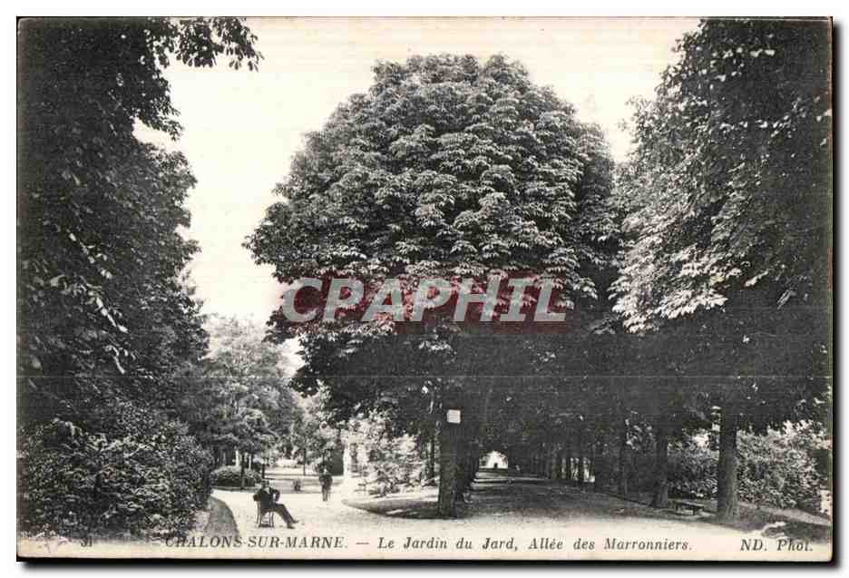 CPA Chalons sur Marne Le Jardin du Jard Allee des Marronniers