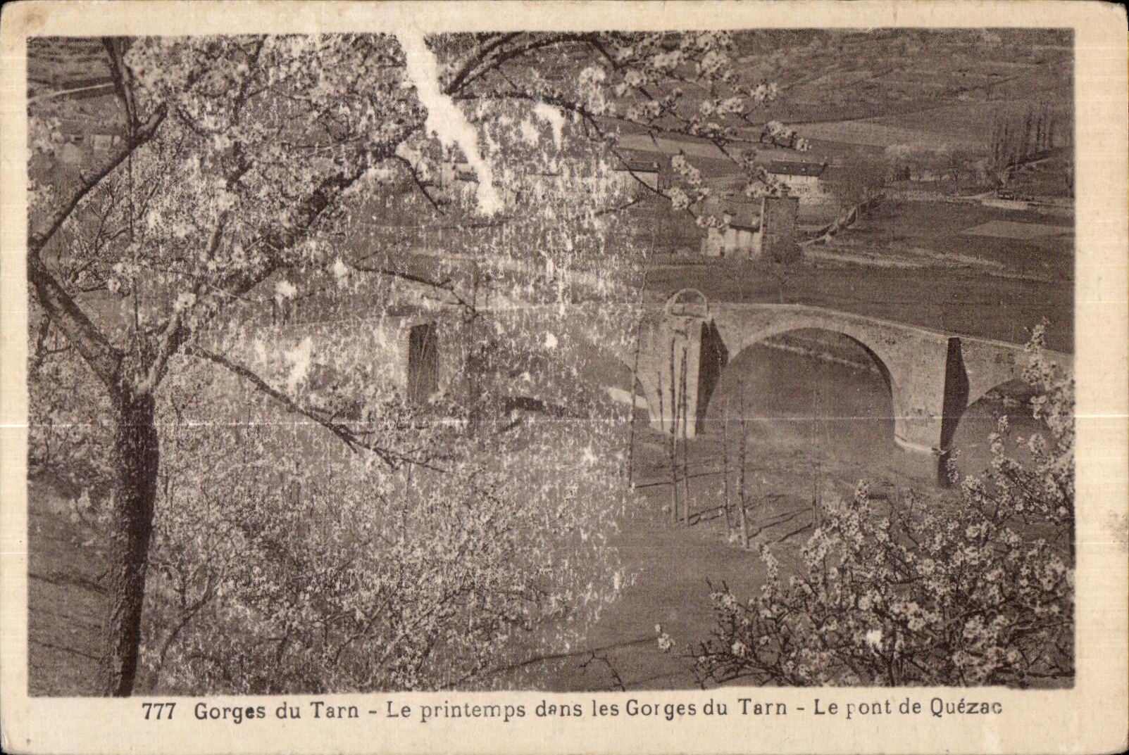 Gorges du Tarn — Le printemps dans les Gorges du Tarn — Le pont de Quézac — n°777