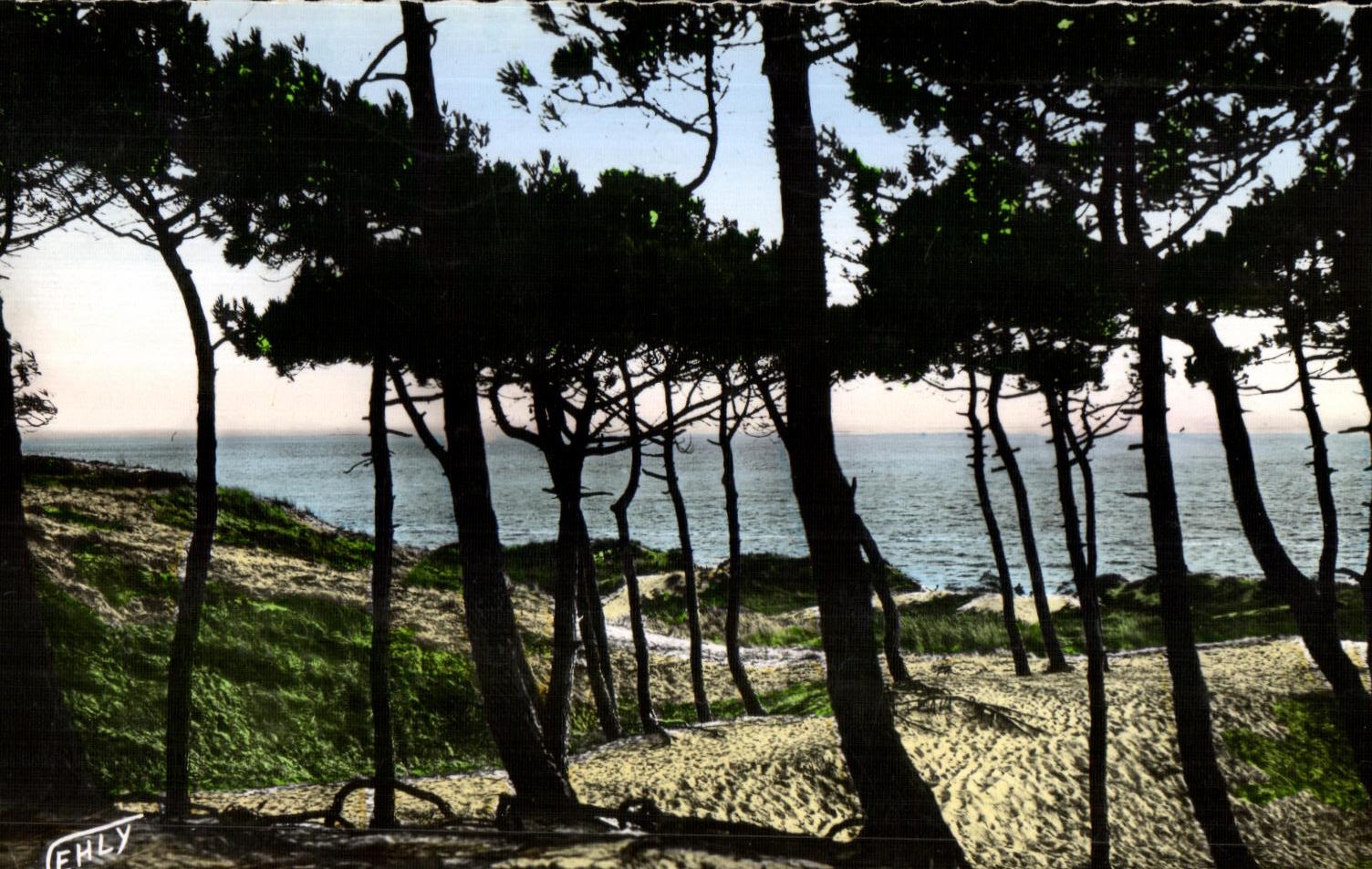 Saint-Jean-de-Monts — La mer à travers la forêt des Dampiselles — Éditions JEHLY-POUPIN