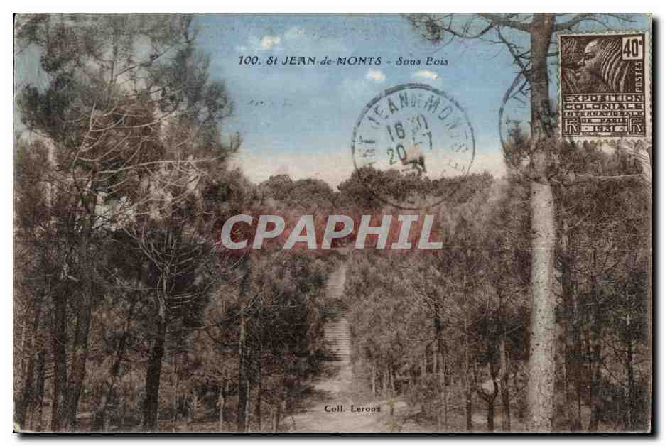 St JEAN-de-MONTS - Sous Bois — Vue de forêt avec escalier — Coll. Lerouz