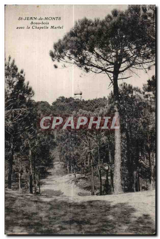 Saint-Jean-de-Monts — Sous-bois avec la Chapelle Martel — Collection Callo