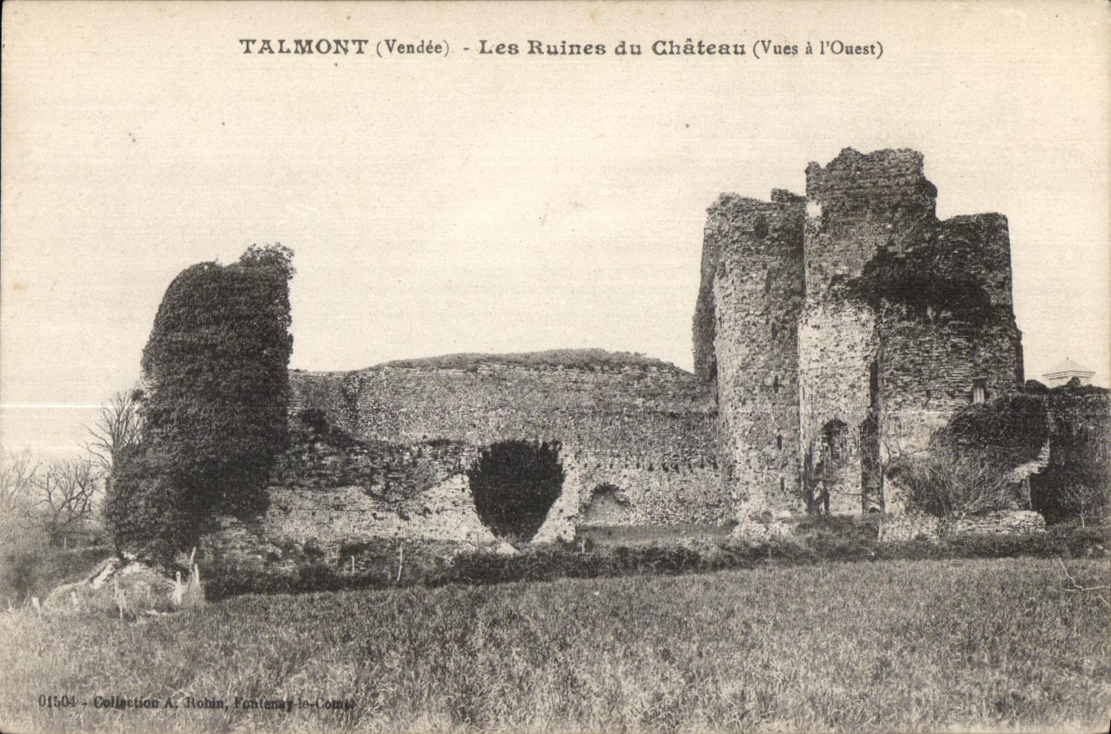 CPA Talmont (Vendee) Les Ruines du Chateau (Vues a I Ouest)
