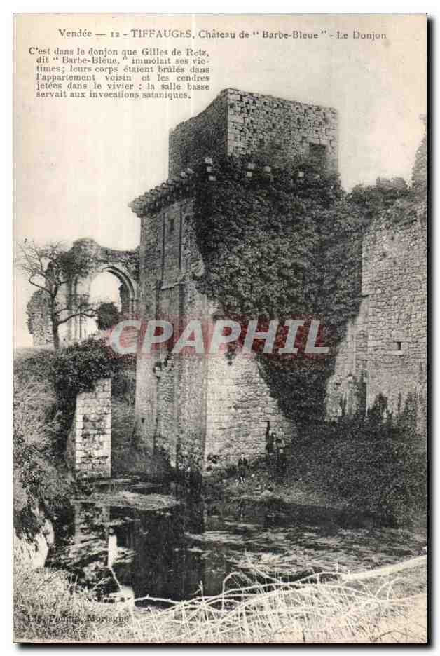 CPA Vendee Tiffauges Vue d ensemble de Barbe Bleu Le Donjon