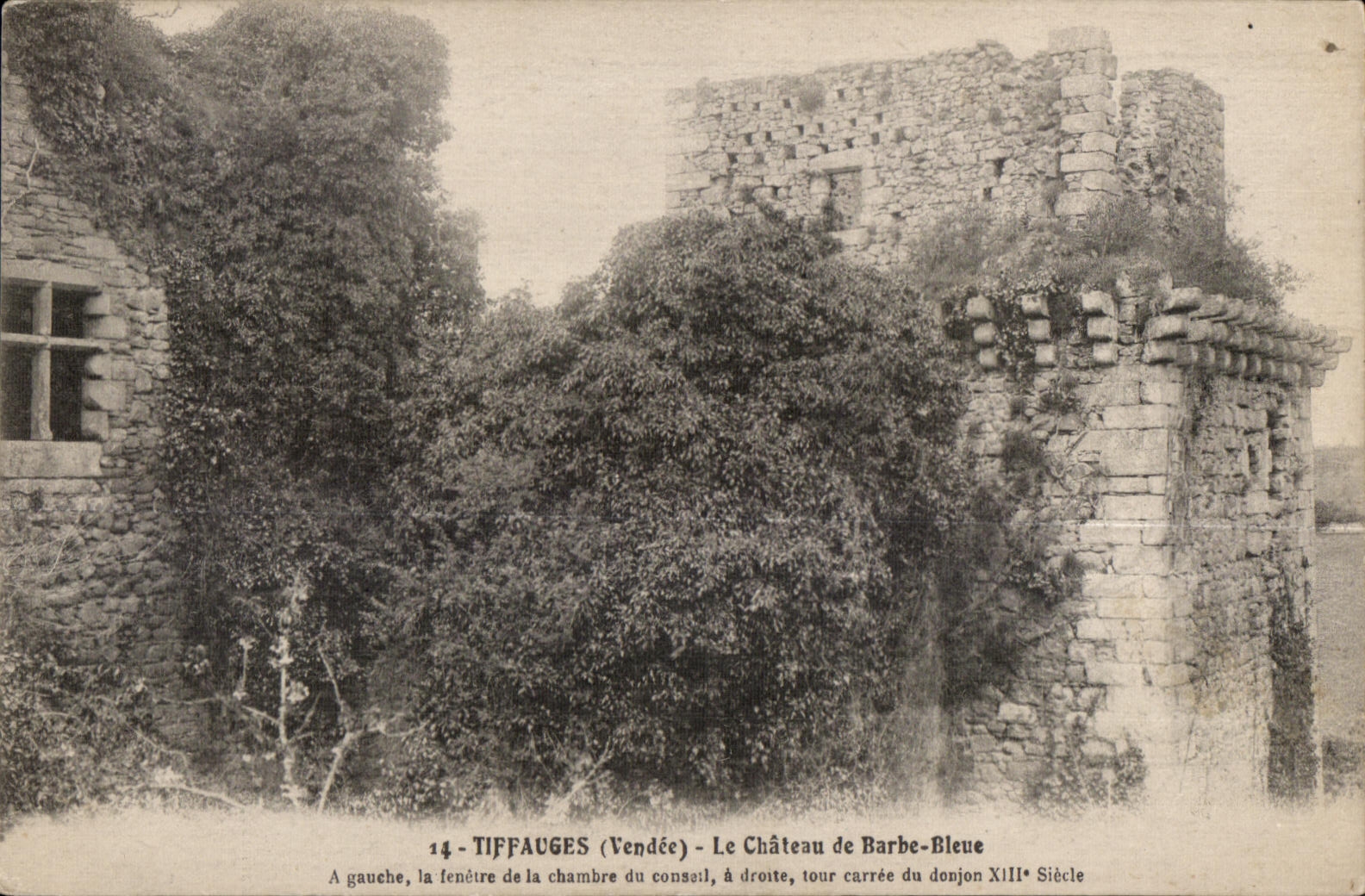 CPA Tiffauges (Vendee) Le Chateau de Barbe Bleue a gauche la