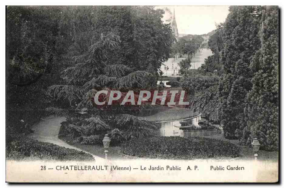 CPA Chatellerault (Vienne) Le Jardin Public A P Public Garden