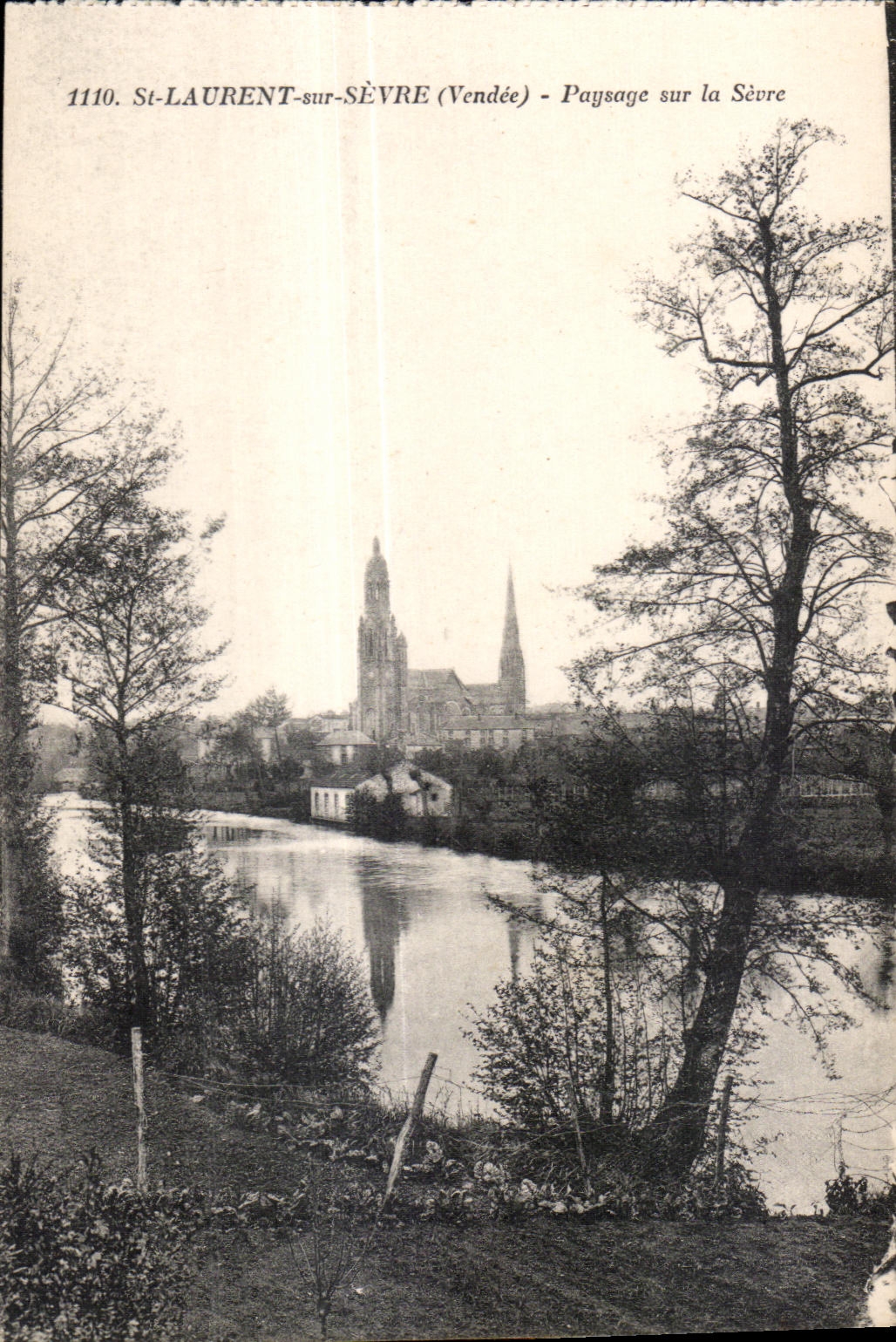 CPA St laurent sur sevre (vendee) paysage sur la sevre