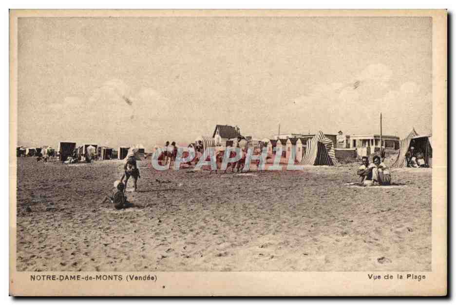 CPA Vue De la Plage Notre Dame de Monts 