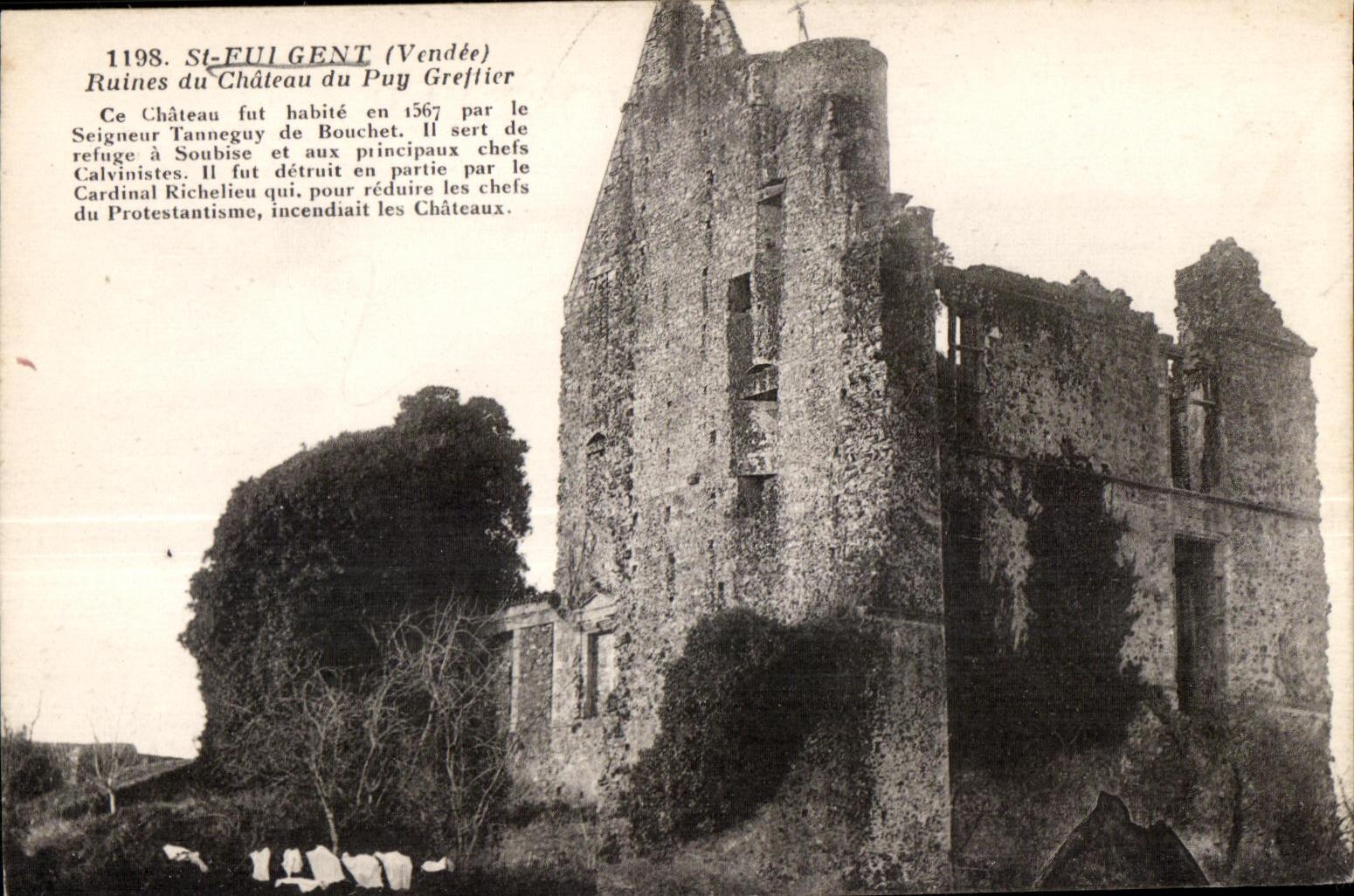 St-Fulgent (Vendée) — Ruines du Château du Puy Greftier — Phototypie Jehly-Peppin