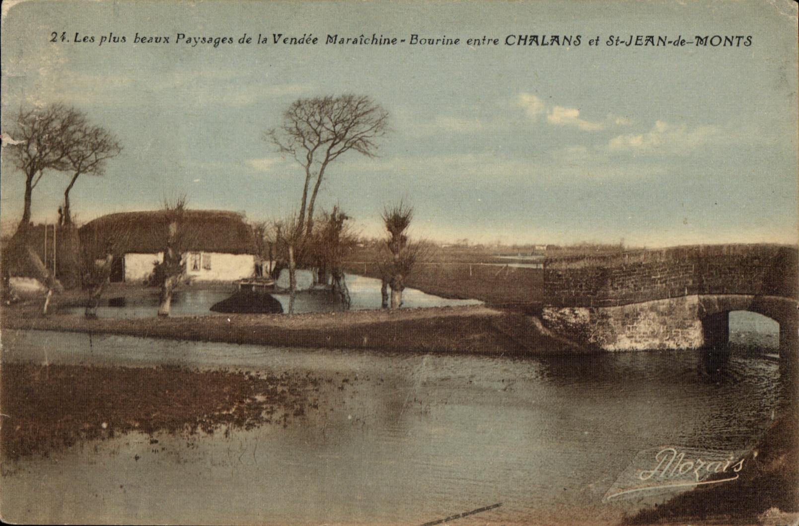 CPA Les plus beaux paysages de la vendee maraichine bourine entre chalans et st jean de monts 