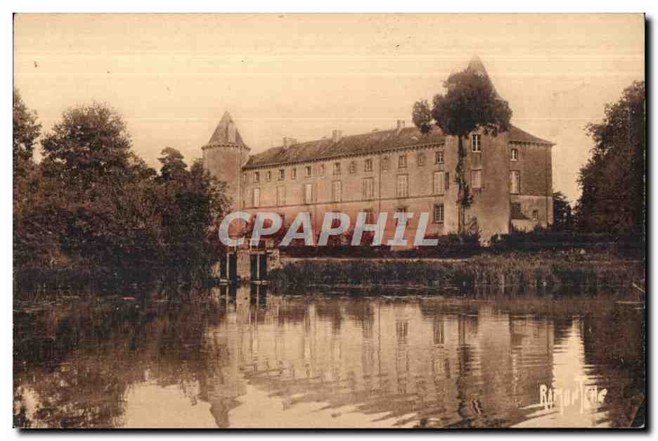 CPA Le chateau de la foret sue sevre sitne dans un ilot de la sevre