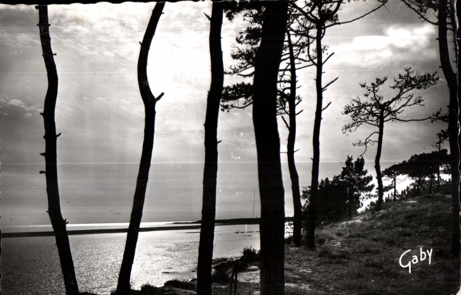 Vue de la baie de La Faute-sur-Mer — Éditions Gaby — n°62