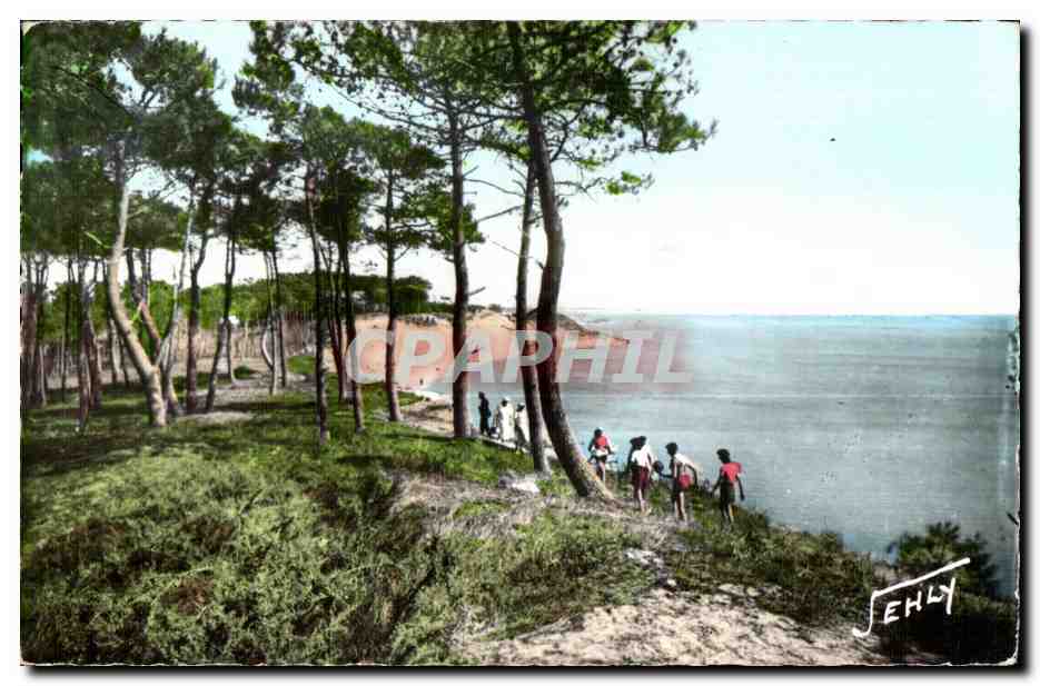 La Belle-Henriette — Entre LA TRANCHE-sur-MER et LA FAUTE-sur-MER (Vendée) — JEHLY