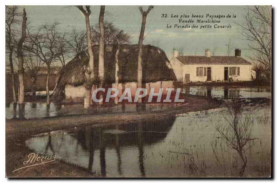 CPA Les plus beaux Paysages de la Vendee Maraichine Le Paradis des petits Canards