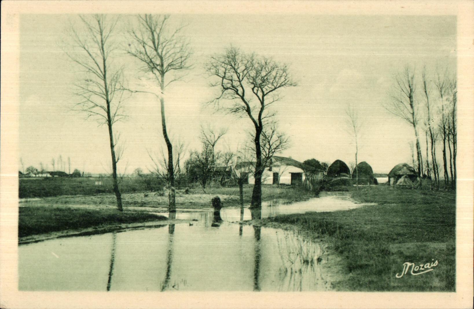 CPA Les Plus Beaux Paysages de la Vendee Maraichine Paysage du Marais