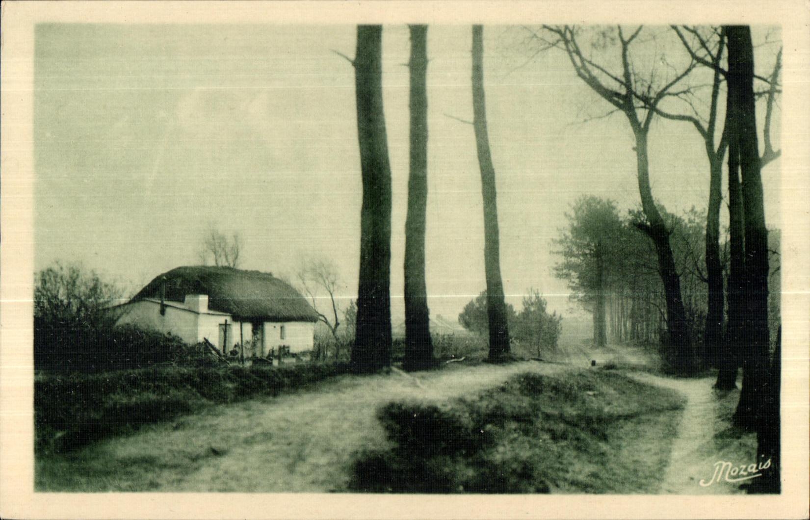 CPA Les Plus Beaux Paysages de la Vendee Maraichine Bournie en bordure de foret
