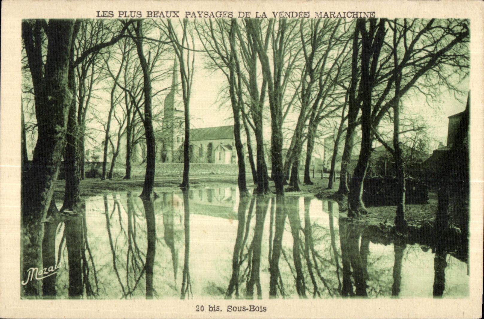 CPA Les Plus Beaux Paysages de la Vendee Maraichine bis Sous Bois