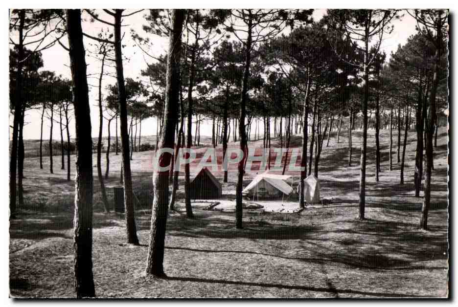 CPSM Sion sur L Ocean par Saint Hilaire de Riez (Vendee) Cure de repos dans les pias Aux amateurs de solitude Camping