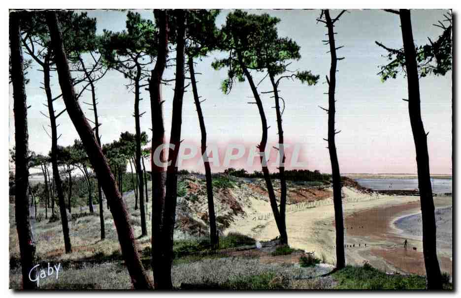 CPSM La Griere Plage La Tranche sur Mer (Vendee) Baie de la Belle Henriette