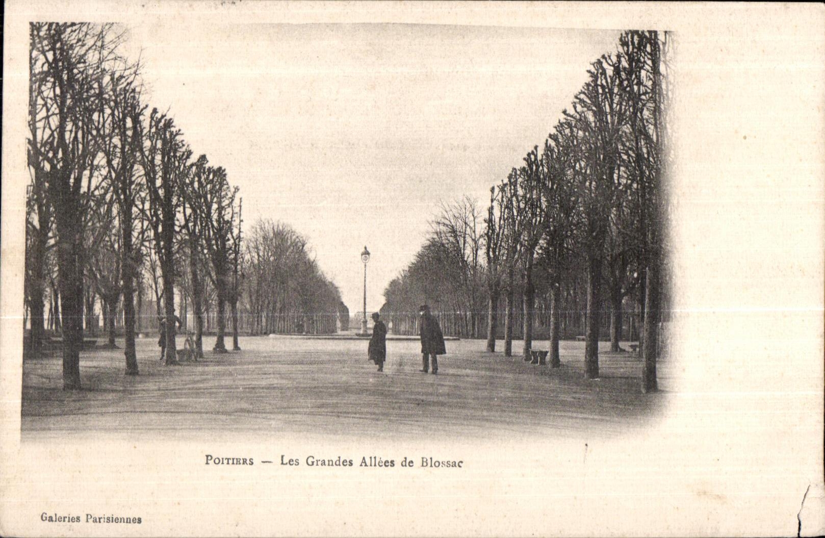 CPA Poitiers Les Grandes Alles de Blossac