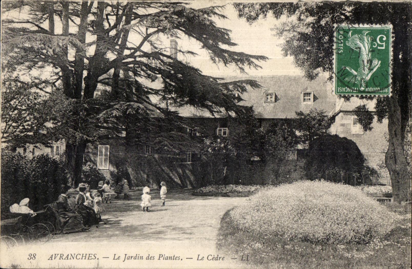Avranches — Le Jardin des Plantes — Le Cèdre — Éditeur LL n°38