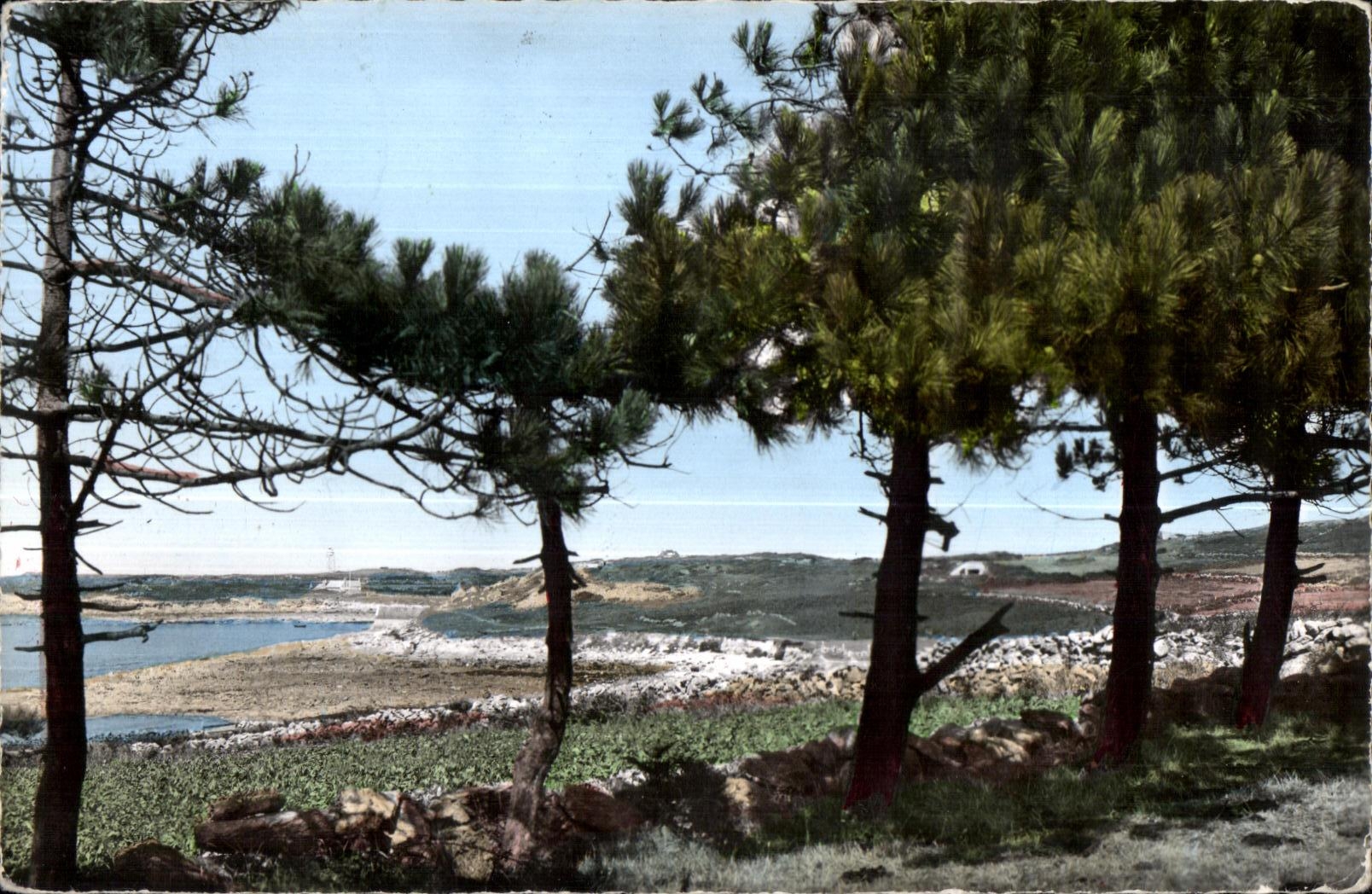 CPSM Cherbourg Route Touristique Cherbourg Saint Pierre Eglise A travers les Pins vers Fermanville