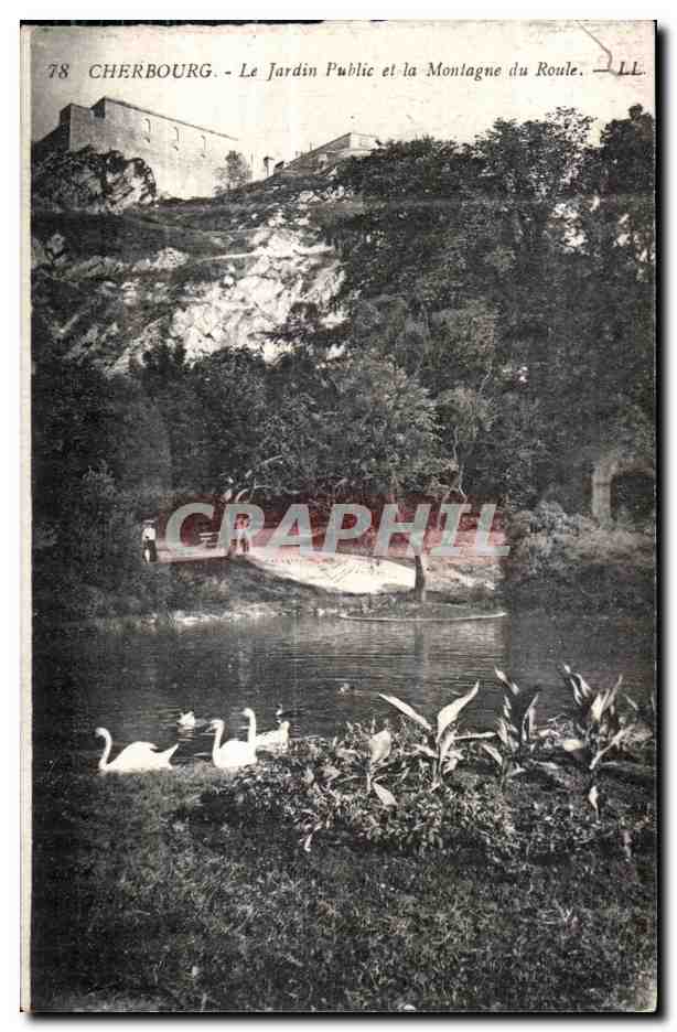 CPA Cherbourg Le Jardin Public et la Montagne du Roule Cygne Swan