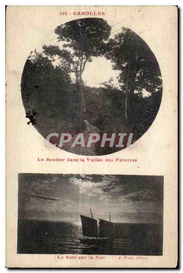 CPA Carolles Le Sentier dans la Vallee des Peintres