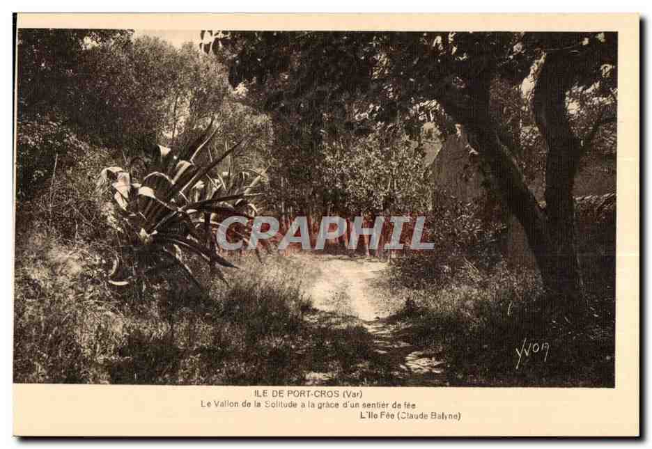 Île de Port-Cros (Var) — Le Vallon de la Solitude à la grâce d'un sentier de fée — Claude Balyne