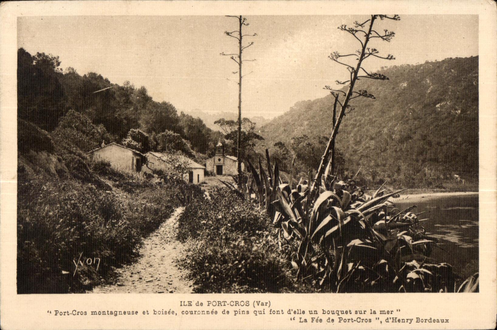 Île de Port-Cros — paysage montagneux et boisé — Édition d'Art Yvon, Palis